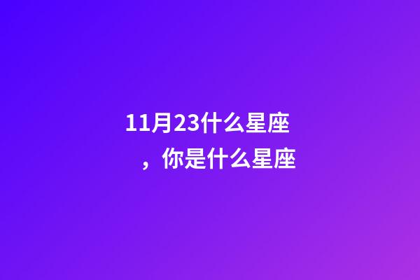 11月23什么星座，你是什么星座
